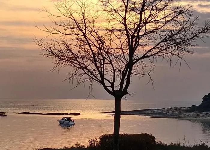 Kamp Dolores Only 250 Meters To The